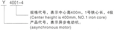 西安泰富西玛Y系列(H355-1000)高压YKS50010-10/630KW三相异步电机型号说明