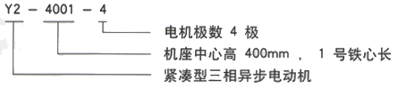 YR系列(H355-1000)高压YKS50010-10/630KW三相异步电机西安西玛电机型号说明